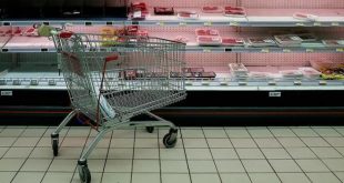 Sömürgeci Fransa gıda krizini aşmak için yine Afrika'ya göz dikti!