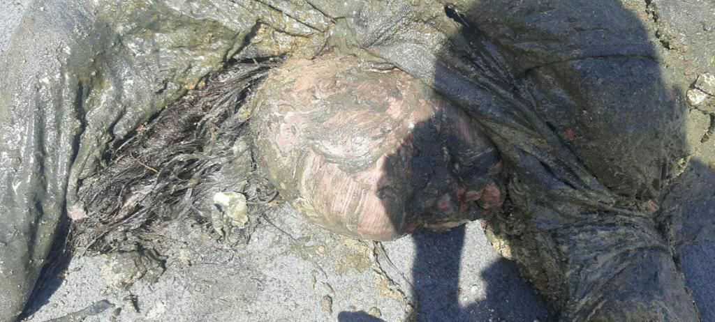 Hol Kampında cinayetler zinciri