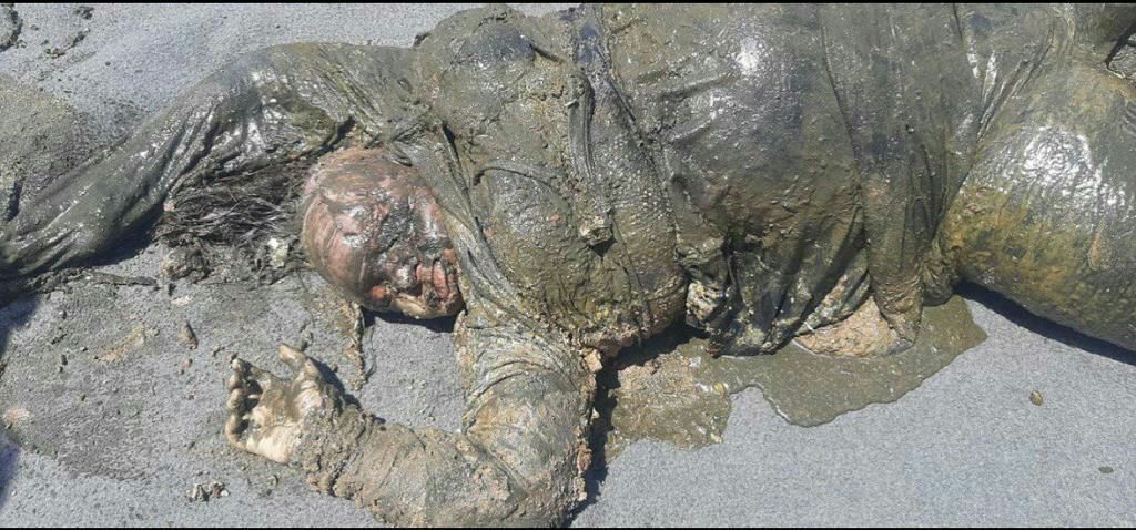 Hol Kampında cinayetler zinciri