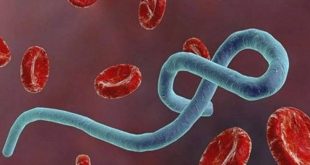 Irak'ta hemorajik salgını endişesi! Vakalar artıyor