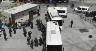 İstanbul'da yakalanan 726 kaçak göçmen sınır dışı edilecek