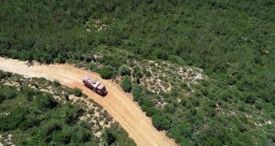 İzmir'de bazı ormanlara girişler yasaklandı