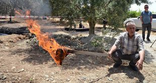 Manisa'da heyecanlandıran keşif! Su yerine petrol fışkırdı