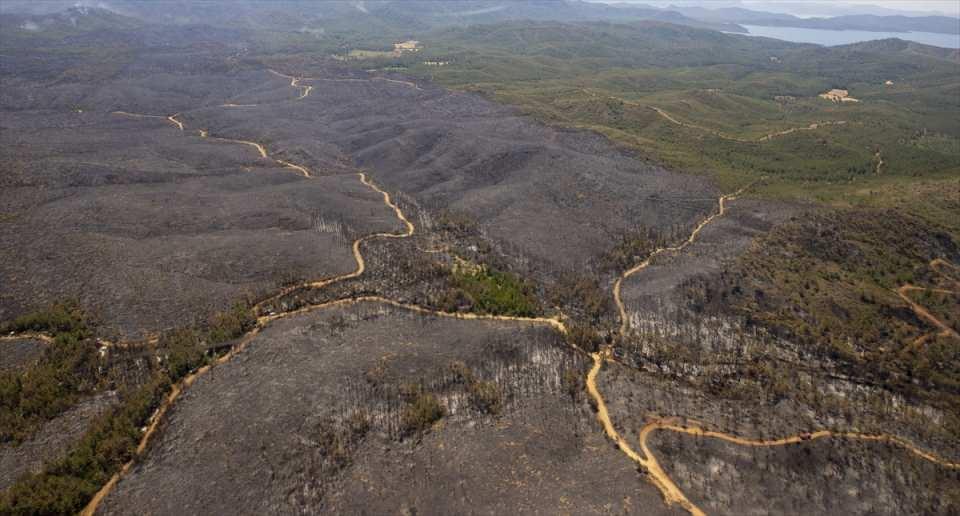 Marmaris'teki yangınlarla ilgili yeni gelişme: 1 şüphelinin kimliği belli oldu
