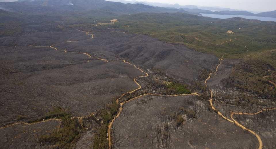 Marmaris'teki yangınlarla ilgili yeni gelişme: 1 şüphelinin kimliği belli oldu