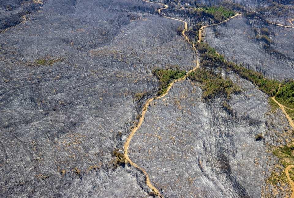 Marmaris'teki yangınlarla ilgili yeni gelişme: 1 şüphelinin kimliği belli oldu