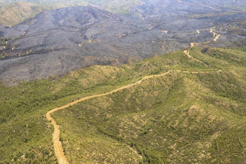 Marmaris'teki yangınlarla ilgili yeni gelişme: 1 şüphelinin kimliği belli oldu