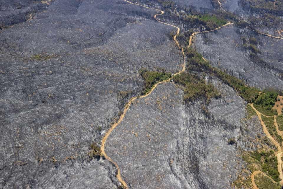 Marmaris'teki yangınlarla ilgili yeni gelişme: 1 şüphelinin kimliği belli oldu