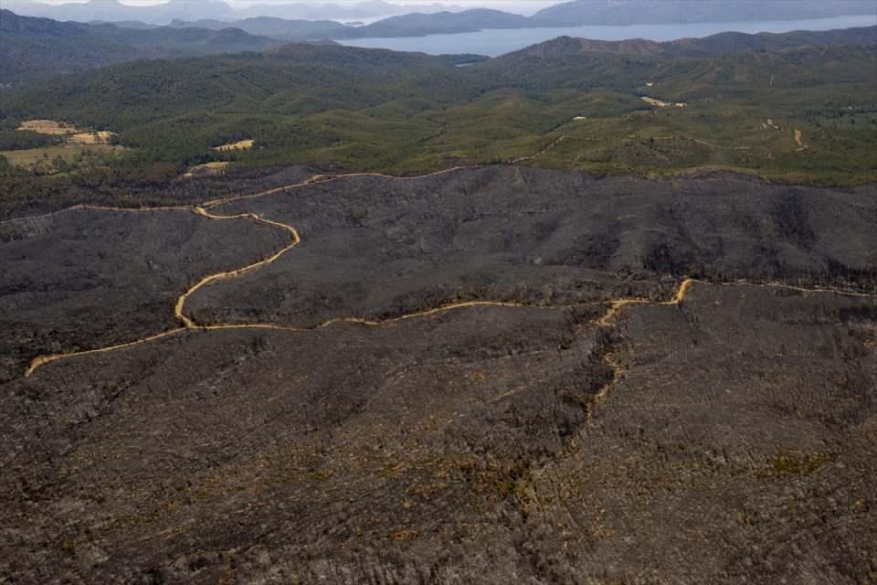 Marmaris'teki yangınlarla ilgili yeni gelişme: 1 şüphelinin kimliği belli oldu