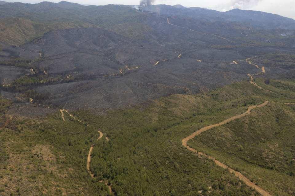 Marmaris'teki yangınlarla ilgili yeni gelişme: 1 şüphelinin kimliği belli oldu