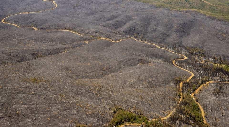 Marmaris'teki yangınlarla ilgili yeni gelişme: 1 şüphelinin kimliği belli oldu