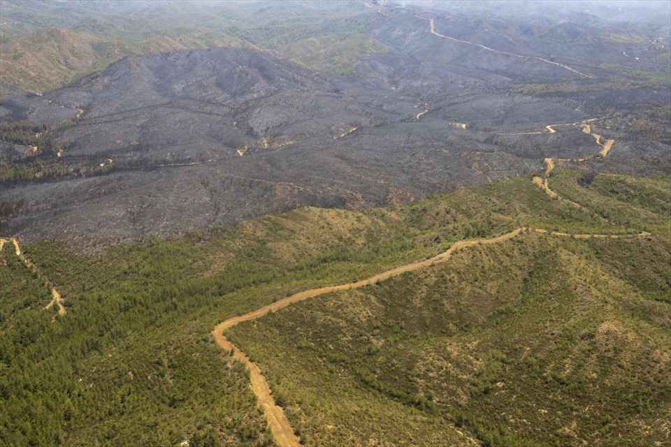Marmaris'teki yangınlarla ilgili yeni gelişme: 1 şüphelinin kimliği belli oldu