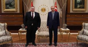 Erdoğan, Rusya başbakan yardımcısını kabul etti