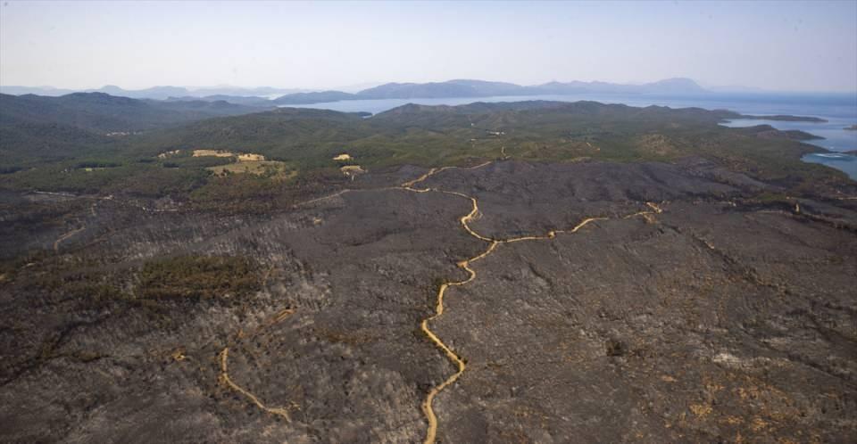 Marmaris'teki yangınlarla ilgili yeni gelişme: 1 şüphelinin kimliği belli oldu