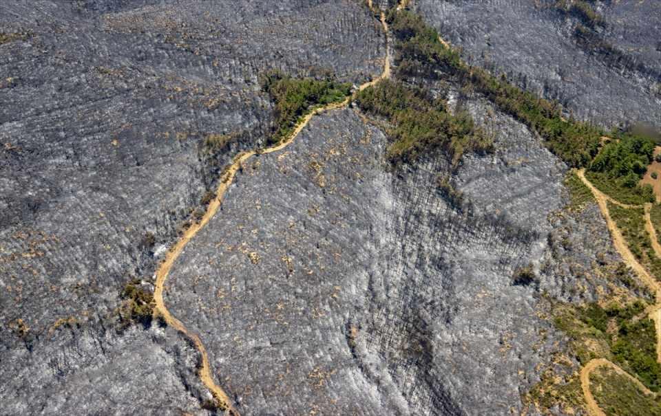 Marmaris'teki yangınlarla ilgili yeni gelişme: 1 şüphelinin kimliği belli oldu