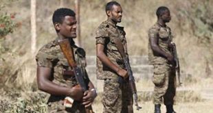 Etiyopya'da katliam: 200'den fazla sivil katledildi