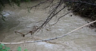Kayseri'yi şiddetli yağış vurdu! Sel sularına kapılan 100 koyun telef oldu