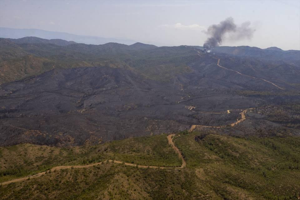 Marmaris'teki yangınlarla ilgili yeni gelişme: 1 şüphelinin kimliği belli oldu