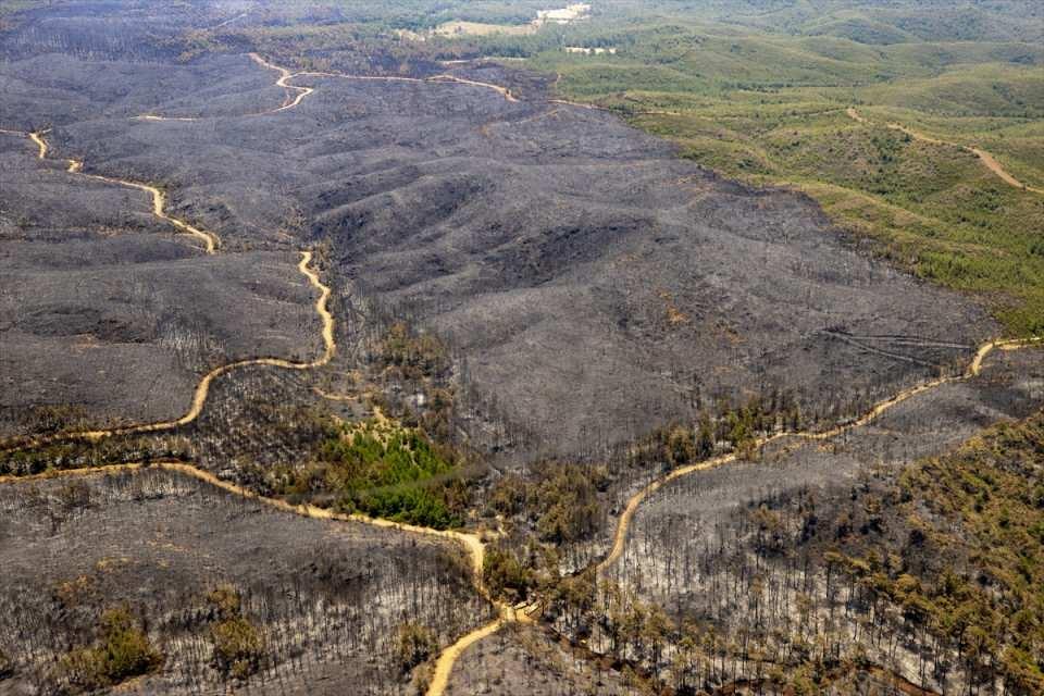 Marmaris'teki yangınlarla ilgili yeni gelişme: 1 şüphelinin kimliği belli oldu