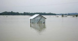 Selin vurduğu Hindistan'da 32 kişi hayatını kaybetti