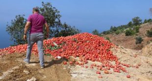 Ticaret Bakanlığı çöpe atılan sebzelerle ilgili inceleme başlattı