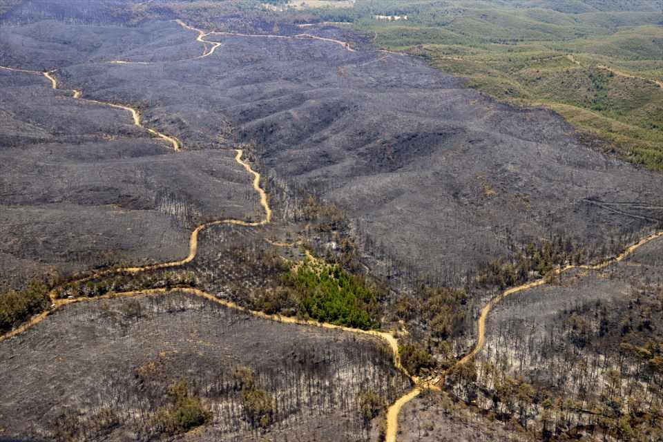 Marmaris'teki yangınlarla ilgili yeni gelişme: 1 şüphelinin kimliği belli oldu