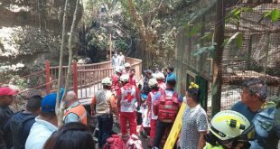 Yeni açılan köprü ilk geçiş sırasında çöktü: 25 yaralı!