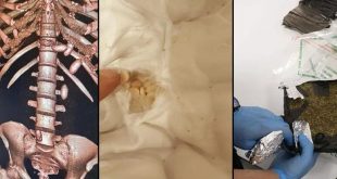 İstanbul Havalimanı'nda kilolarca uyuşturucu ele geçirildi