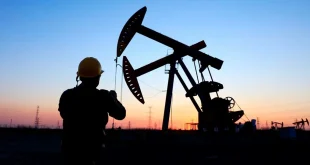 ''Gelin petrolümüzü siz çıkartın''