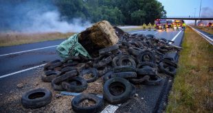 Hollanda'da çiftçiler saman balyalarını ateşe verdiler