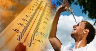 Ölüm sıcakları! Portekiz'de 1065 kişi öldü