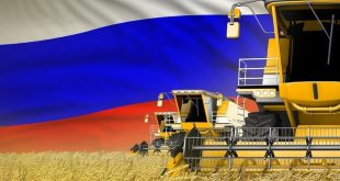Rusya'dan tahıl sevkiyatı ile ilgili net mesaj