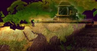 Zelenskiy 'den tahıl açıklaması: Türkiye ve BM ile görüşüyoruz