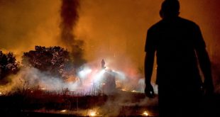 Yunanistan'da orman yangınları kontrol altına alınamıyor