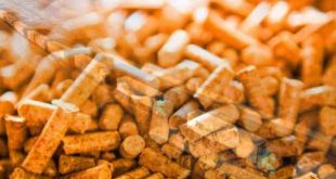 Gazı kesilen Bulgarlar Edirne'den tırlarla pelet alıyor