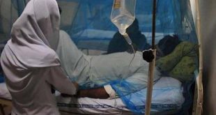 Lassa ateşinden ölenlerin sayısı 168'e yükseldi