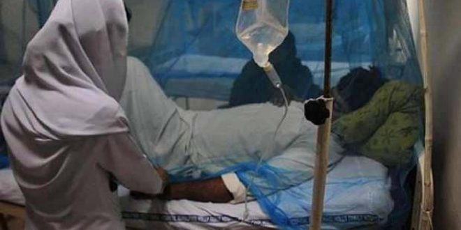 Lassa ateşinden ölenlerin sayısı 168'e yükseldi