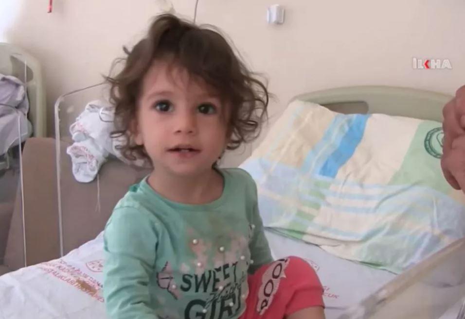 2 yaşındaki çocuk, kendisini sokan yılanı ısırdı