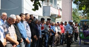 Almanya'dan tatil için gelen kadın, oğlunun beslediği köpeklerin kurbanı oldu