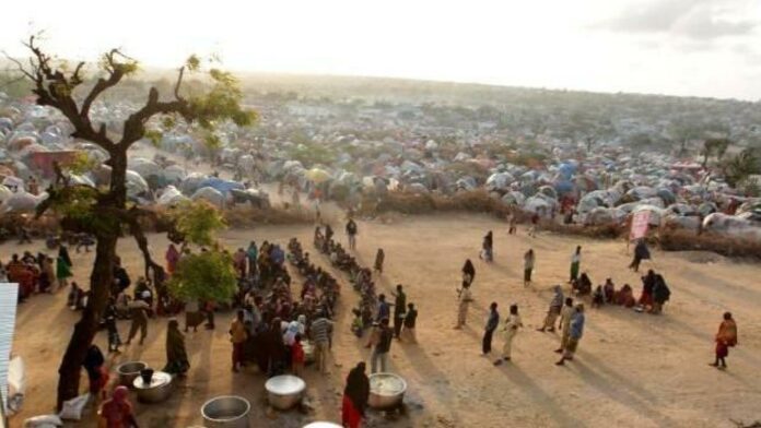 bmden somalideki gida krizi ile mucadele icin acil yardim cagrisi 1662597587 8193