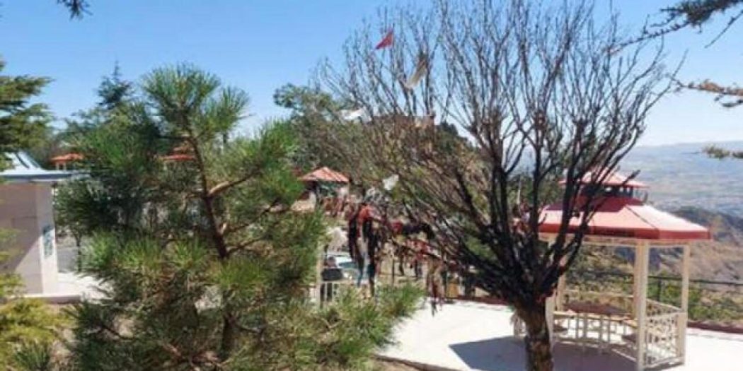 Ankara’da cemevinin bahçesindeki dilek ağacı ateşe verildi