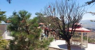 Ankara'da cemevinin bahçesindeki dilek ağacı ateşe verildi