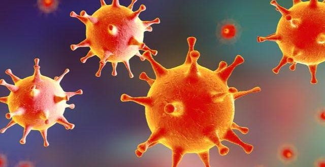 Kansere karşı uçuk virüsü!