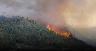Kazakistan'da köylere sıçrayan orman yangını nedeniyle binlerce kişi tahliye ediliyor!