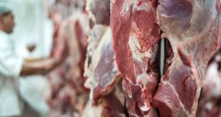 Sut fiyatları değişmeyince, kesimhanelerde yoğunluk başladı