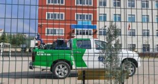 15 öğrenciyi arı soktu, eğitime ara verildi!