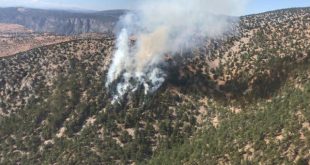 Adana'da yangın! Ekipler müdahale ediyor!