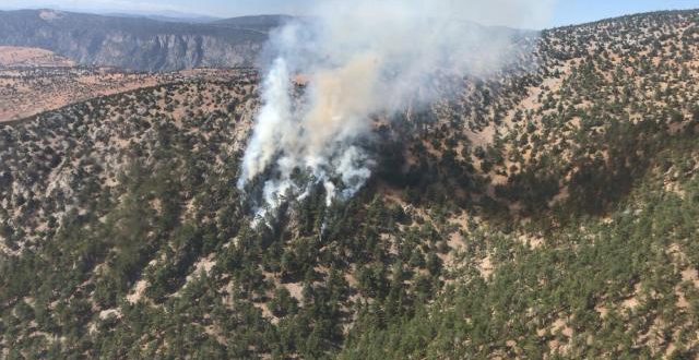 Adana'da yangın! Ekipler müdahale ediyor!