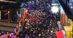 Cadılar Bayramı'nda izdiham! Onlarca ölü