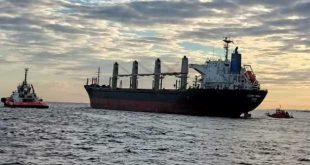 Çanakkale Boğazı'nda Bahama bayraklı dev gemi arızalandı